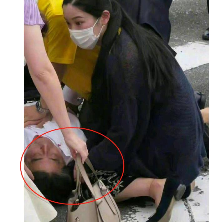 日本安倍晋三身边女保镖,安倍晋三女保镖最新消息