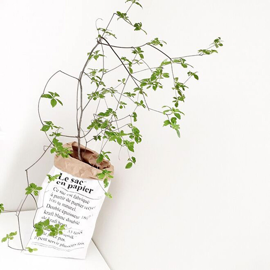 收纳垃圾小纸袋怎么做,一次性垃圾收纳纸袋