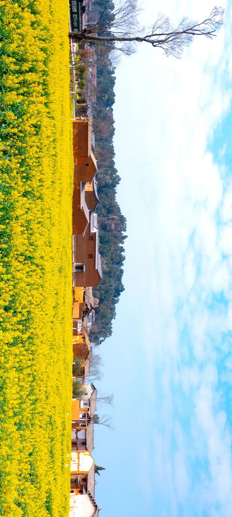 呈贡旅游攻略,2018中国旅游日昆明