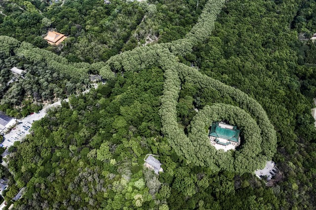 江苏十大旅游必去景点有哪些,江苏旅游必去十大景点推荐一下