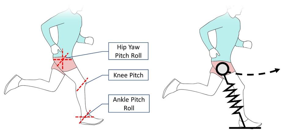 从论文前瞻人形机器人可能的设计方案和投资机会