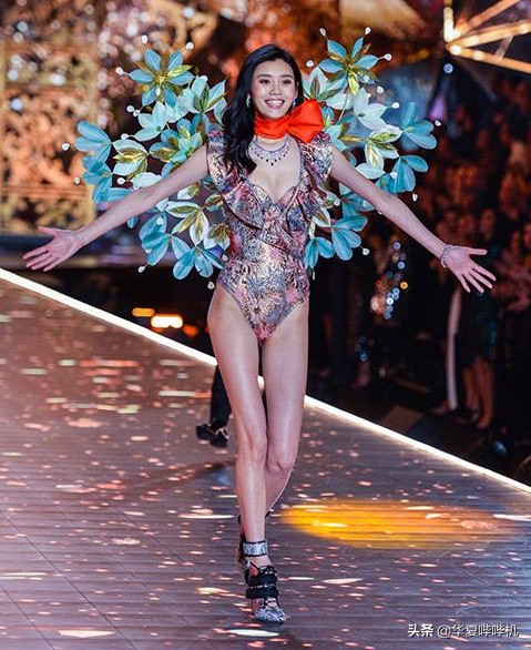 四大维密超模,四大超模