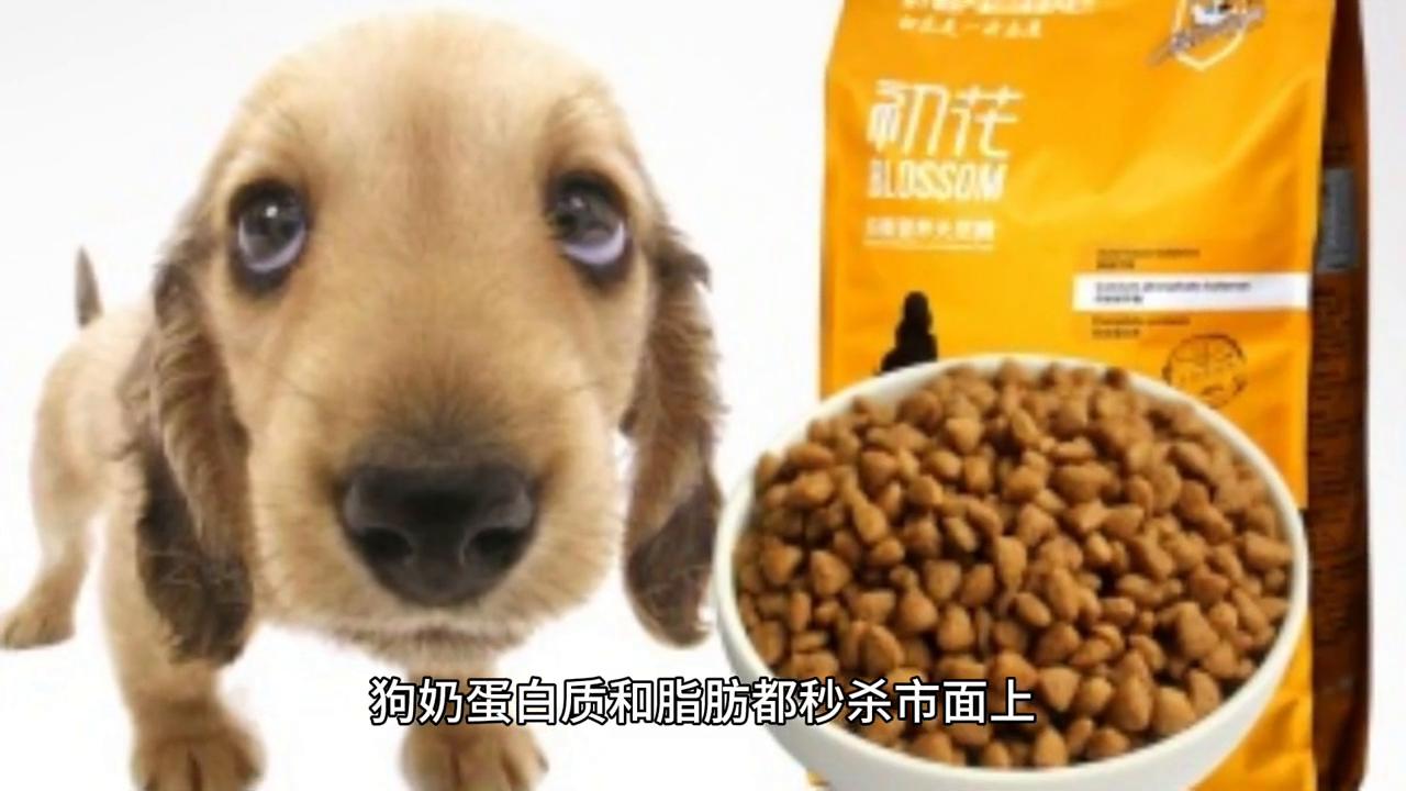 狗奶对人的危害,人类为什么不喝动物奶