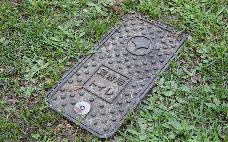 日本城市为什么那么干净,日本东京公园现状