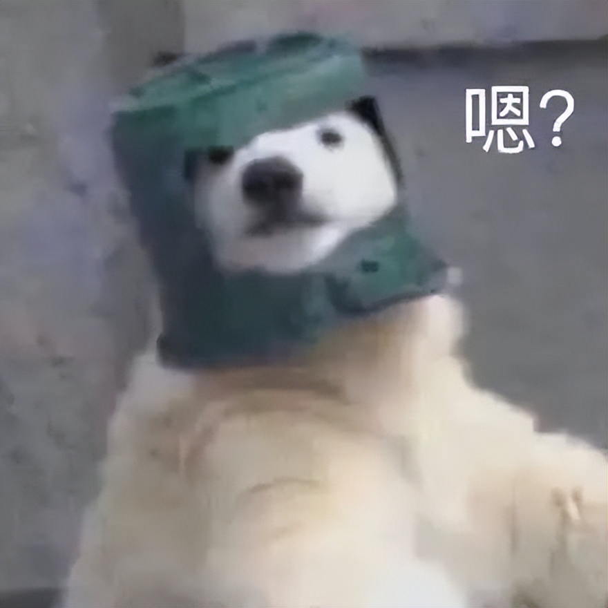 ChatGPT可以看病吗,ChatGPT会替代医生吗