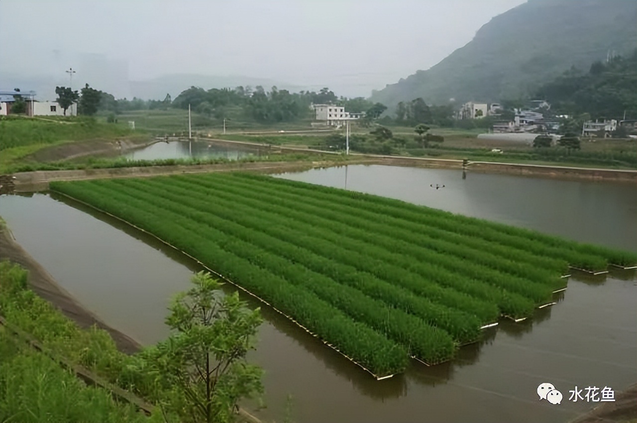 姘翠骇鍏绘畺鍒嗗瓙姘ㄥ拰绂诲瓙姘ㄧ殑鍖哄埆,璁よ瘑姘翠骇鍏绘畺