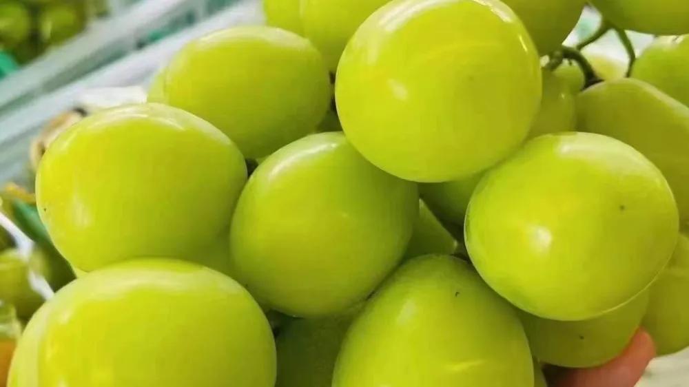 开水果店到处都是水果店怎么办,水果店技术风险及对策