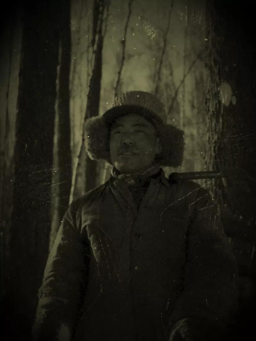 红杉树电视剧全集免费观看,红杉树下的小说