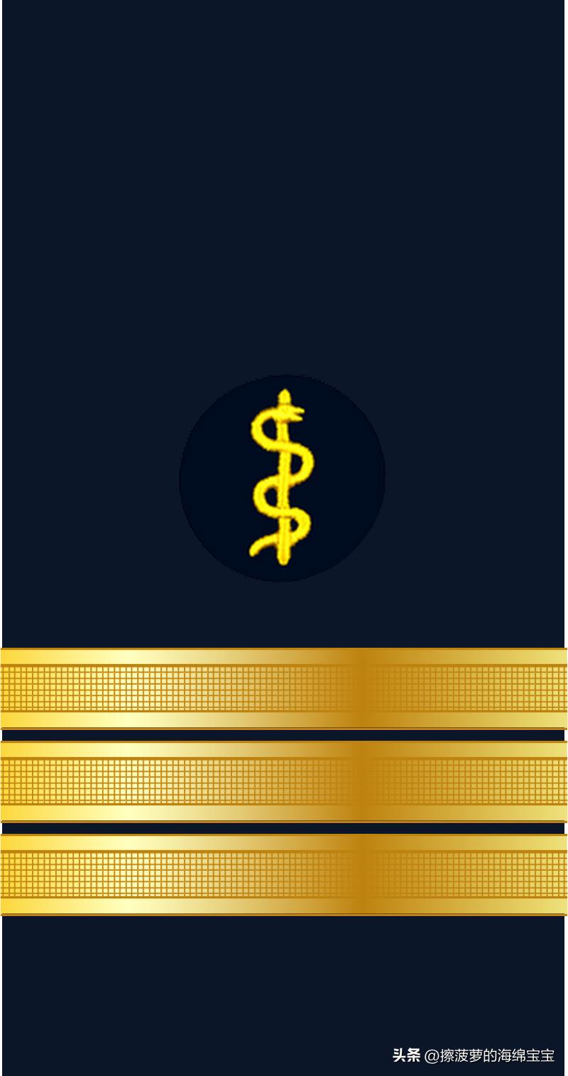 二战德国国防军医疗兵军衔标志