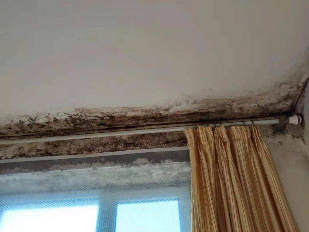 家里漏水让人崩溃到什么程度?不砸墙不卸砖,一招解决漏水问题