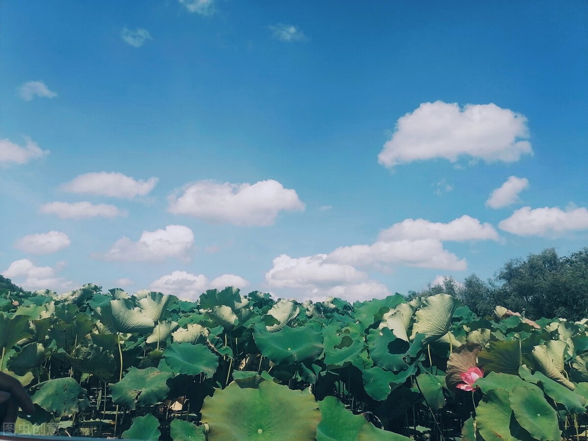 晓出净慈寺送林子方教案设计意图,晓出净慈寺送林子方10分钟教案