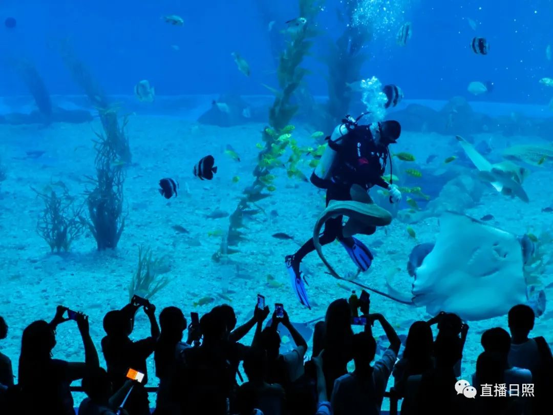 日照夜生活哪里玩,日照晚上去哪里玩