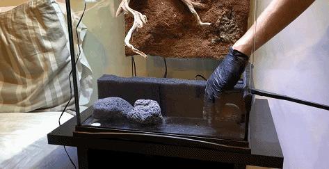 在卧室造一片弱肉强食的危险雨林，会打雷还真的会下雨