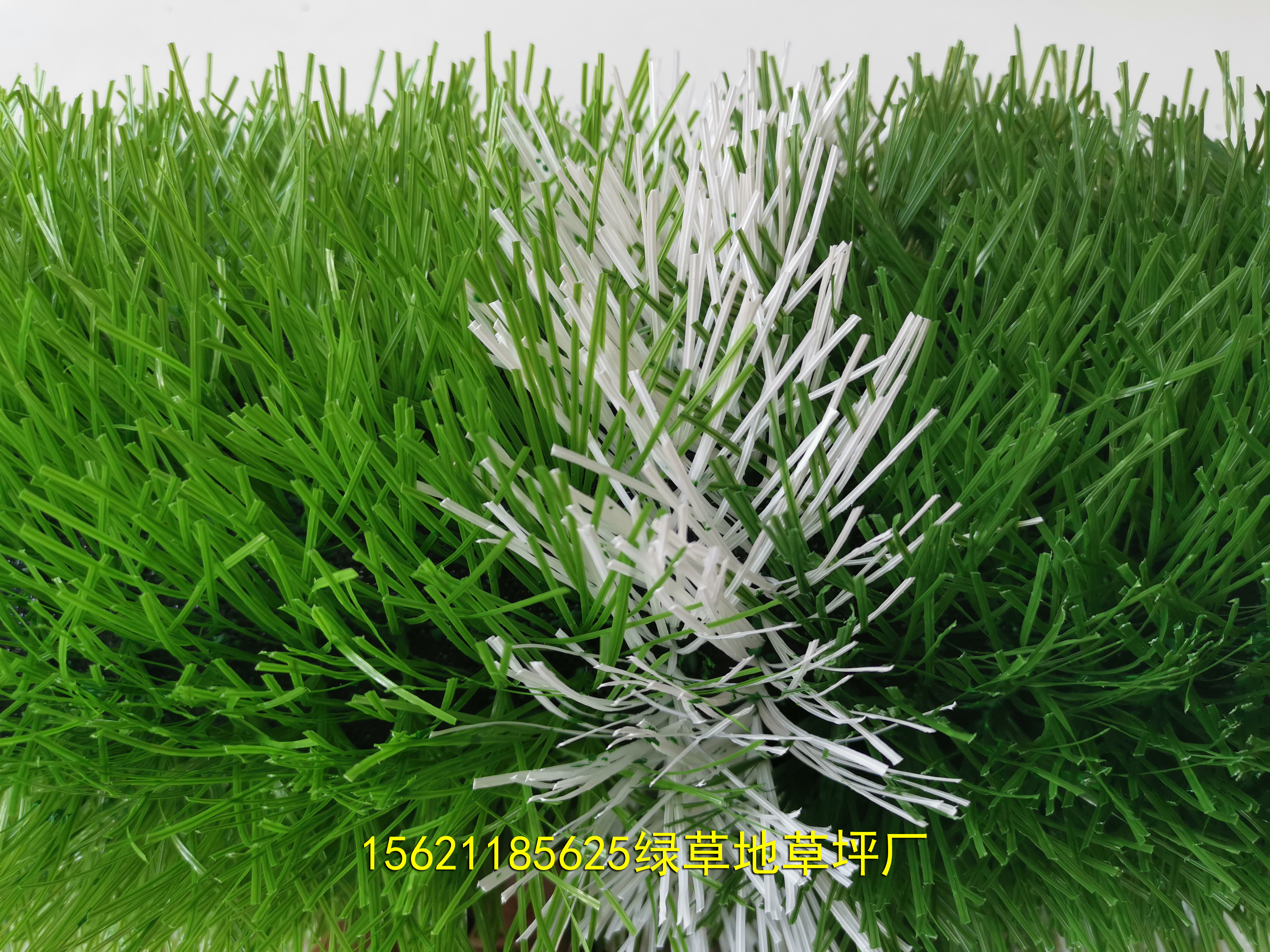 塑料人造草坪报价,杭州塑料草坪厂家