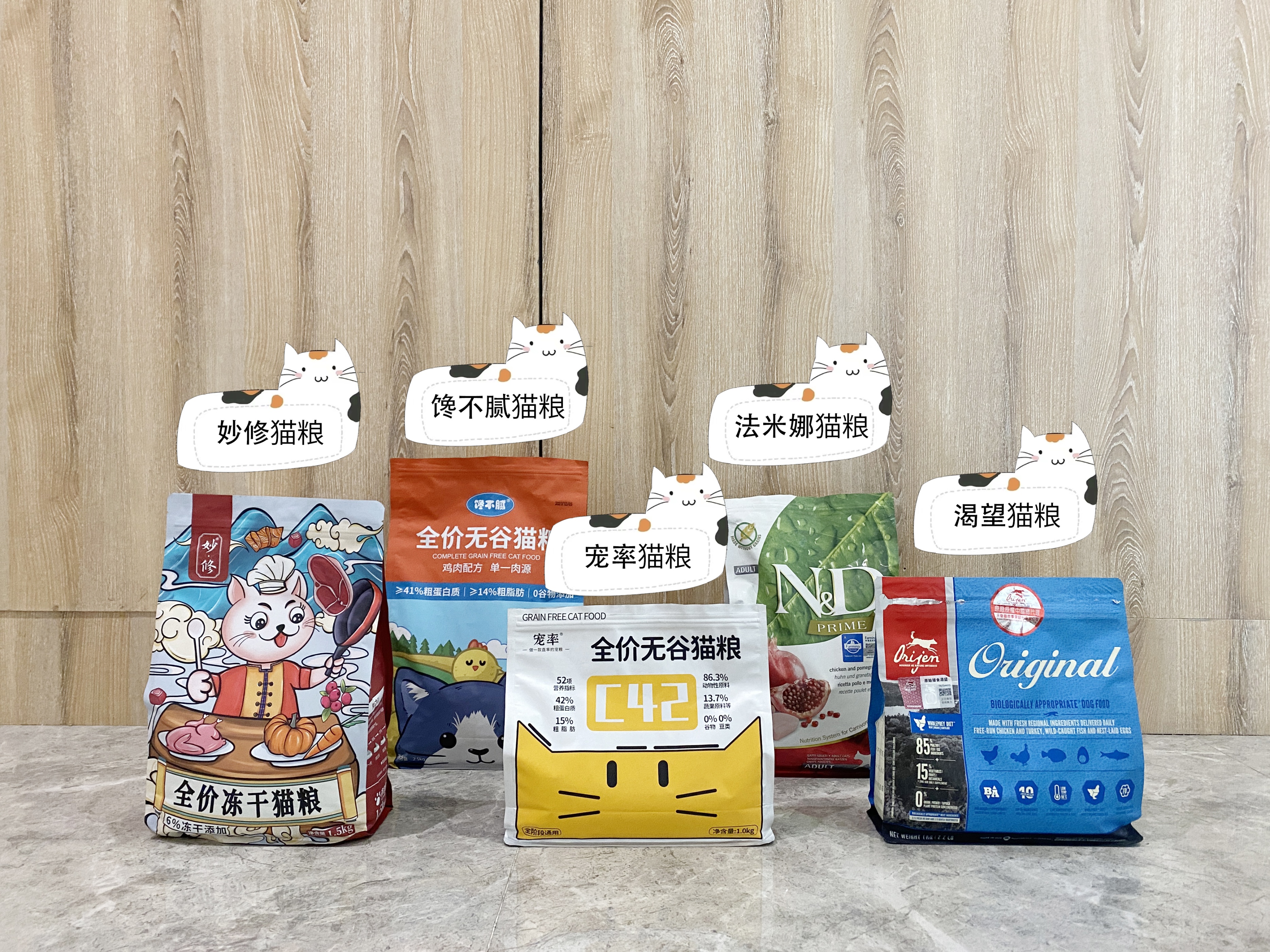 建议养的10种家猫,旺家猫的特征