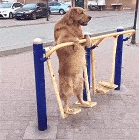 手机充电太慢怎么办vivo,安卓手机充电太慢怎么办