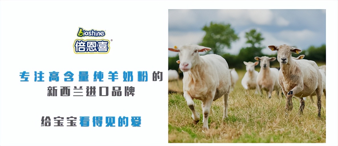 新西兰倍恩喜羊奶价格,倍恩喜羊奶粉800g