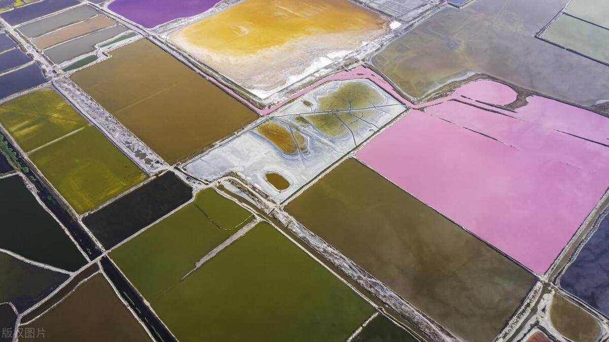 珠三角六一亲子游最佳地方,六一带娃出游攻略