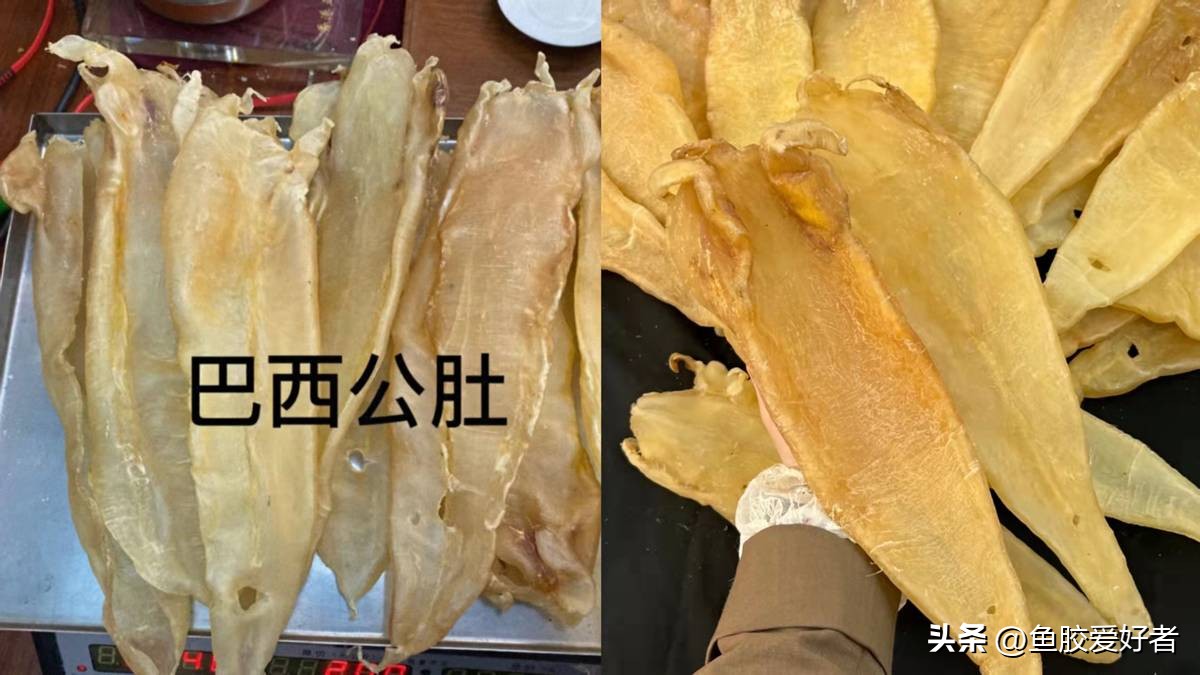 北海胶和大口胶怎么选择,北海公胶和墨西哥胶哪种好