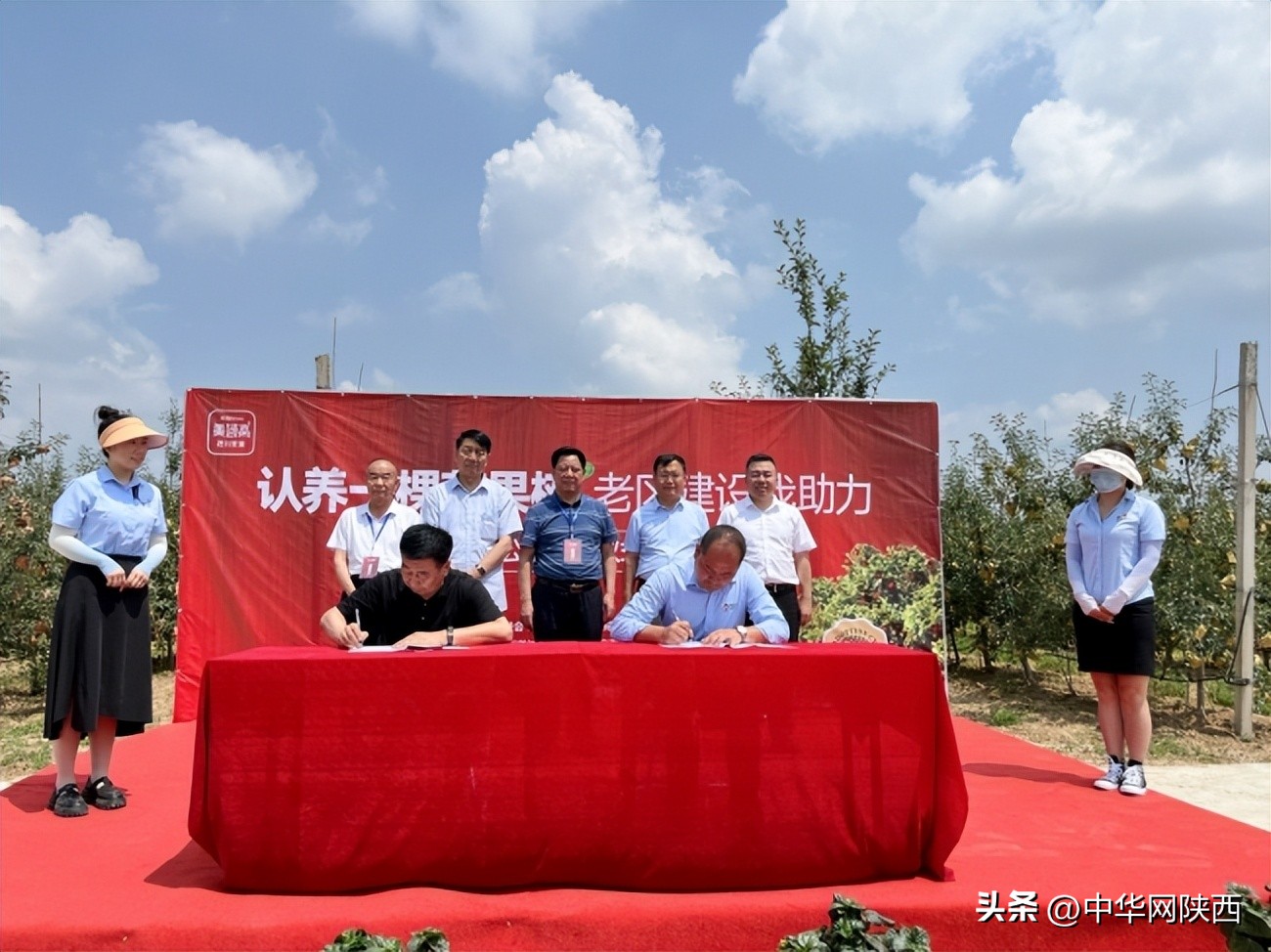 益起来公益捐步截图,益起来种树