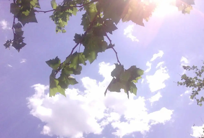 立秋老人有什么说法,有位老人讲述今年立秋是早还是晚