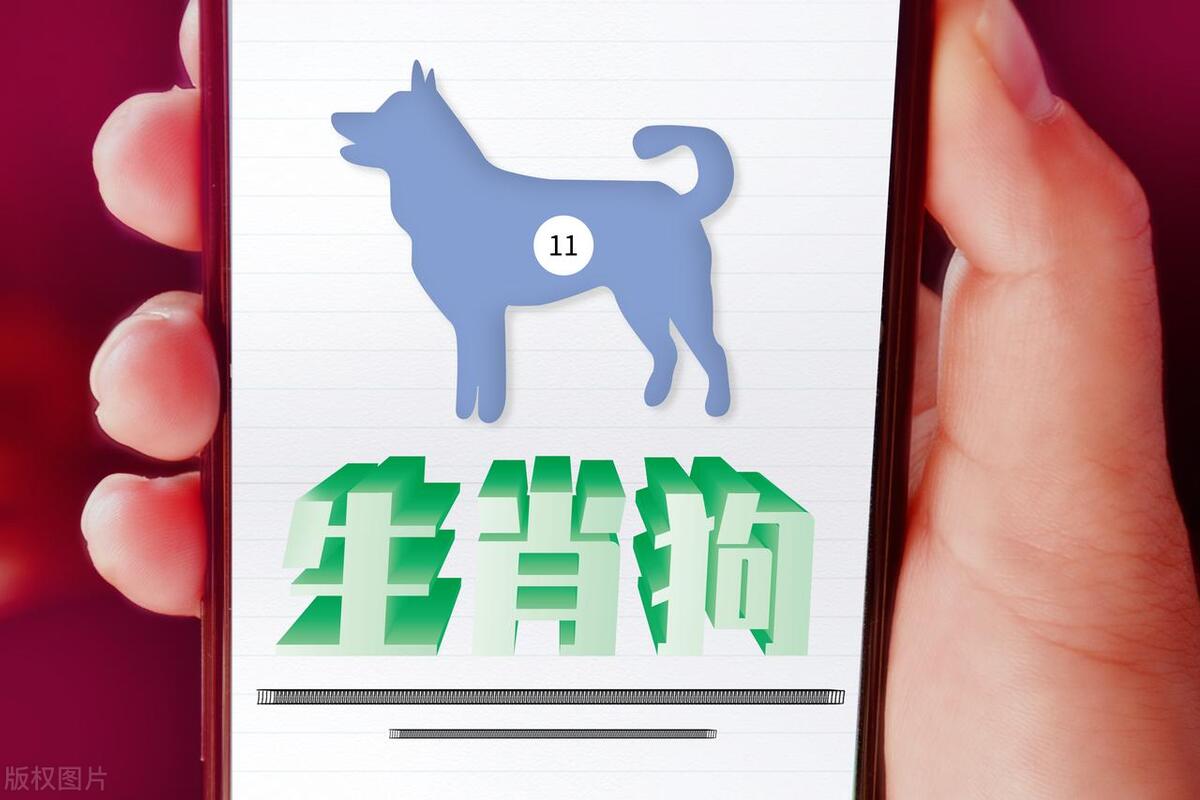 狗狗的爱情运势,狗狗桃花运旺不旺