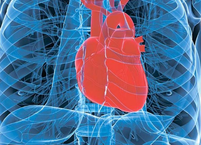 张仲景治疗抑郁症的千古名方,张仲景治抑郁的所有药方