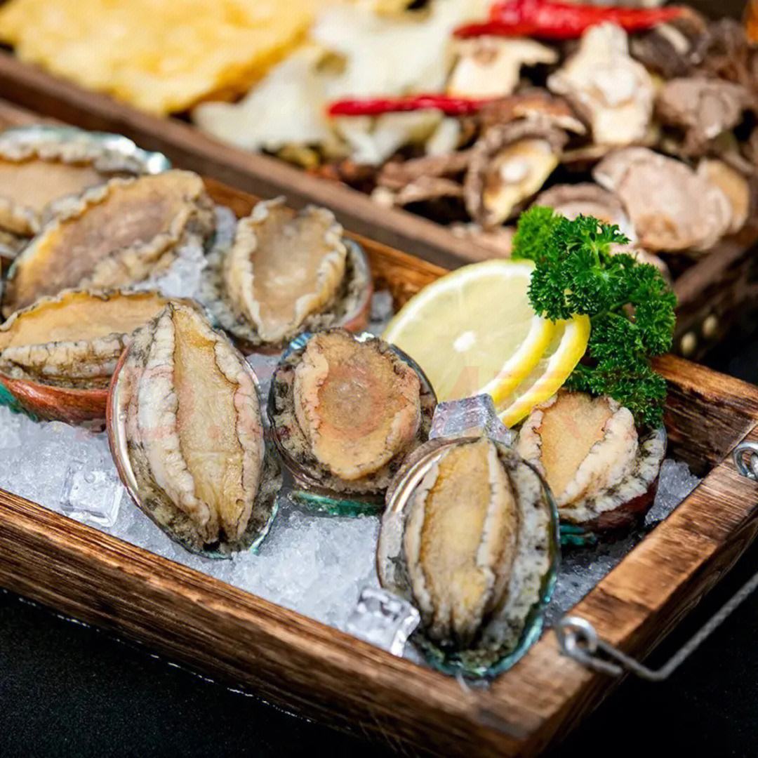 鲍鱼中常见的寄生虫,鲍鱼饲料有毒吗