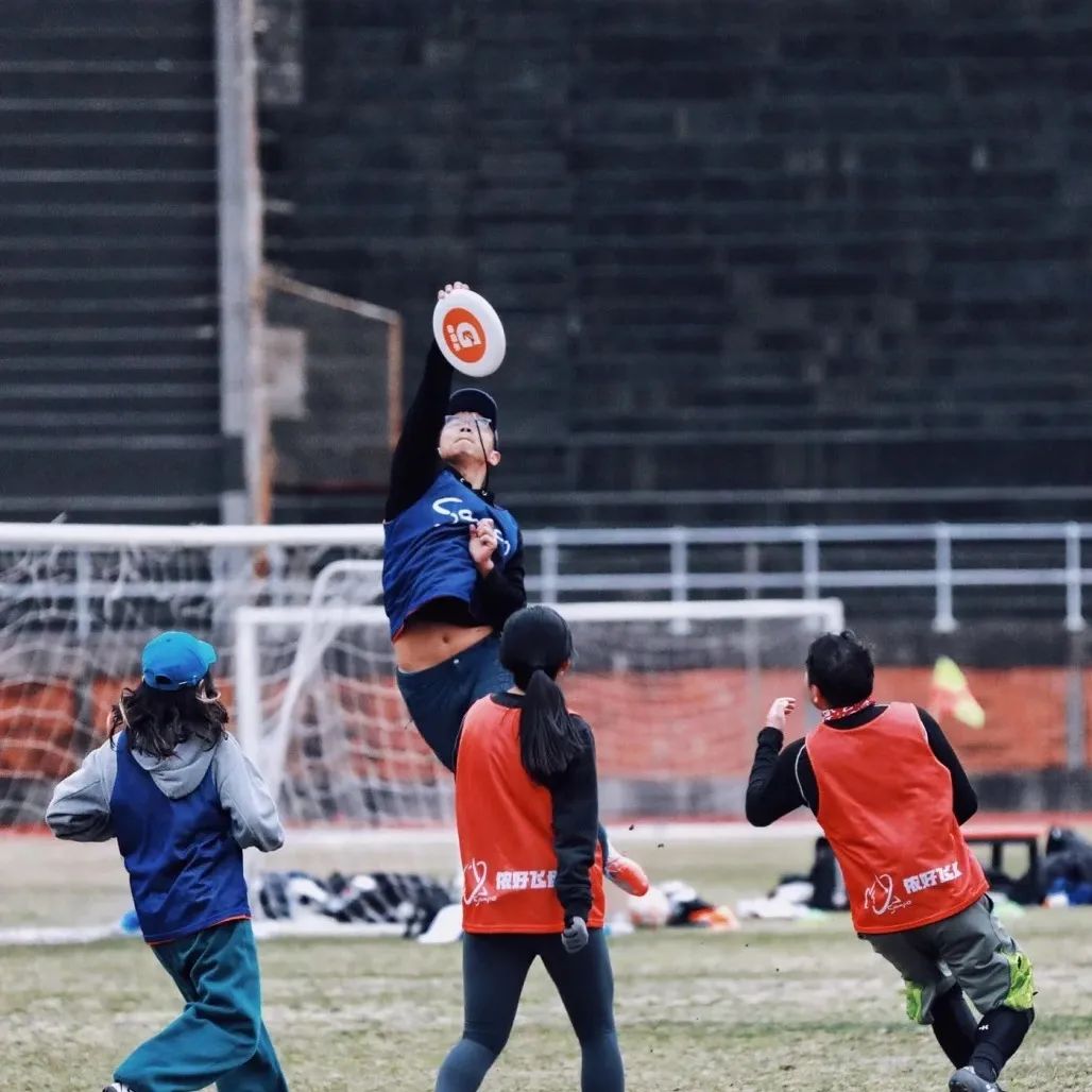 上海玩宠物,上海玩狗户外