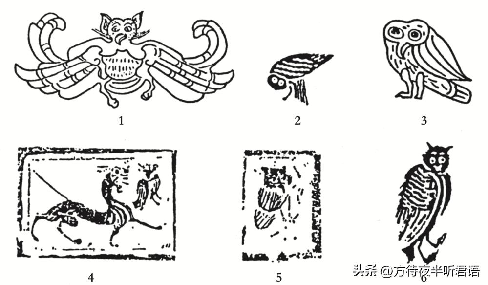 殷商三千年前,商朝为什么崇拜猫头鹰