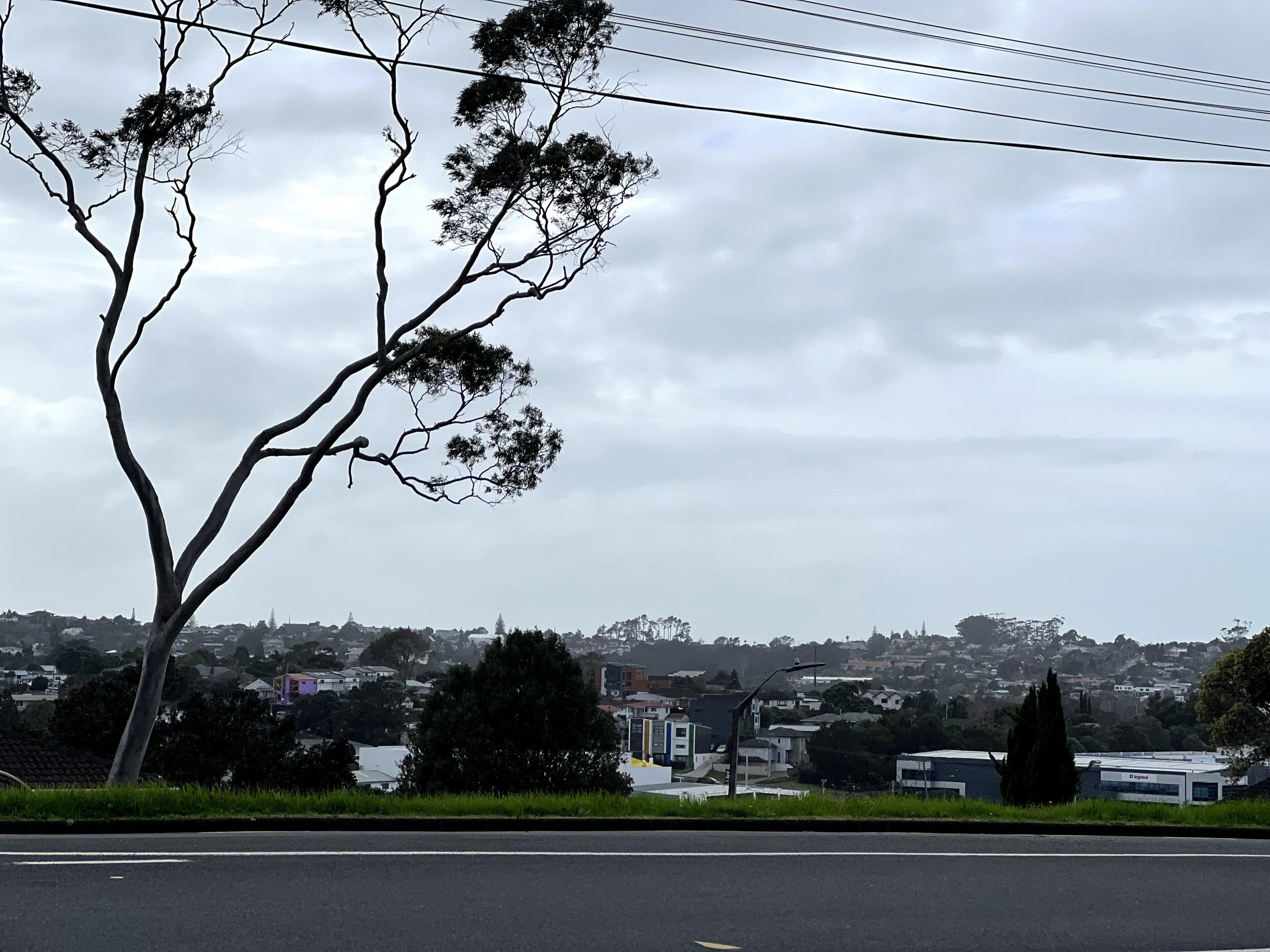 新西兰真实打工视频 (新西兰打工真实收入)