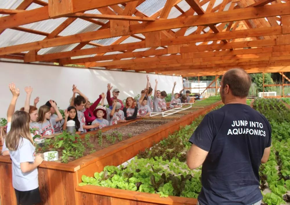 楼顶鱼菜共生,鱼菜共生权威解析