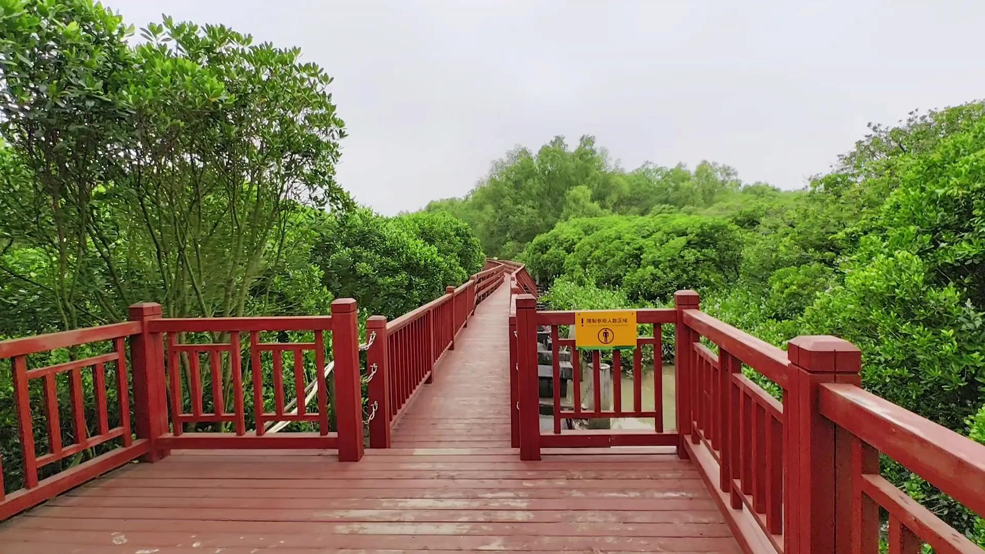 广东内伶仃岛福田国家级自然保护区,内伶仃岛福田自然保护区旅游