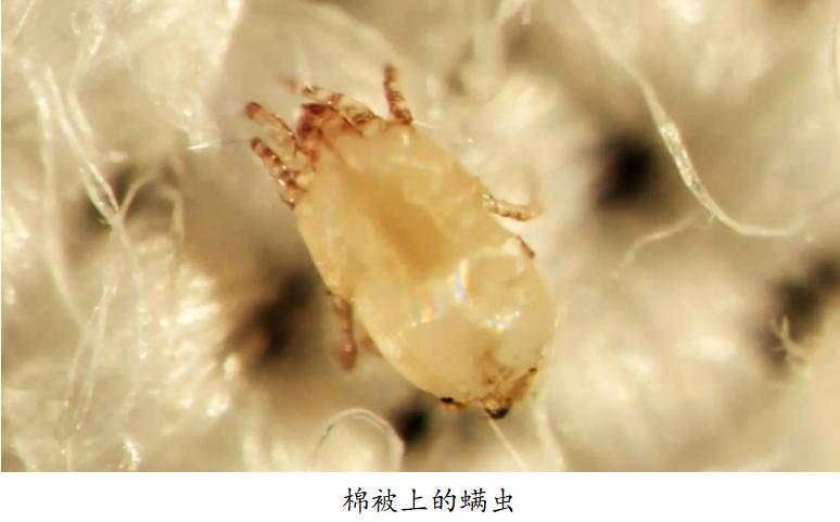 家电大兵测评滚筒洗衣机,家电大兵松下洗衣机拆解视频