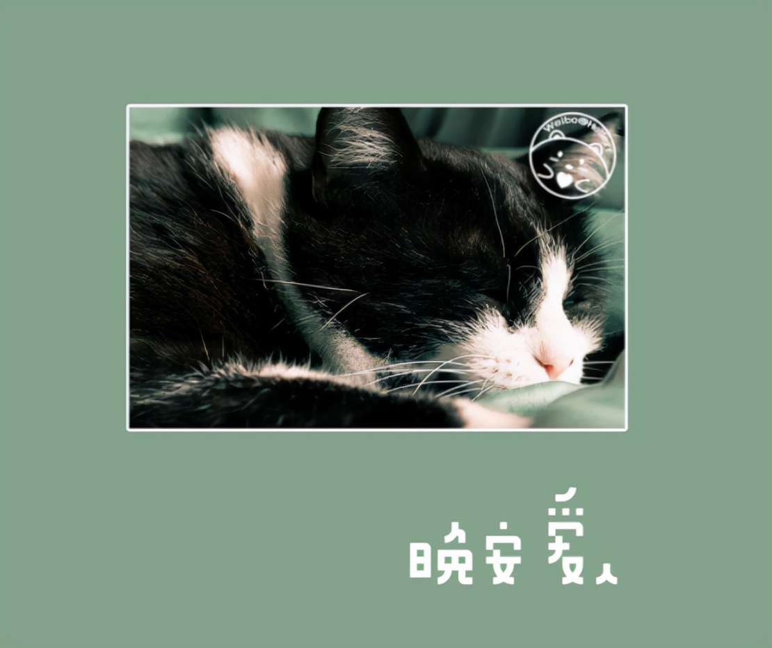 一秒吸引人的朋友圈文案,空间朋友圈文案