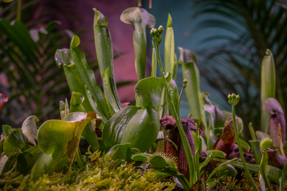 广州长隆野生动物园蛇之秘境,广州这个城市真的好繁华