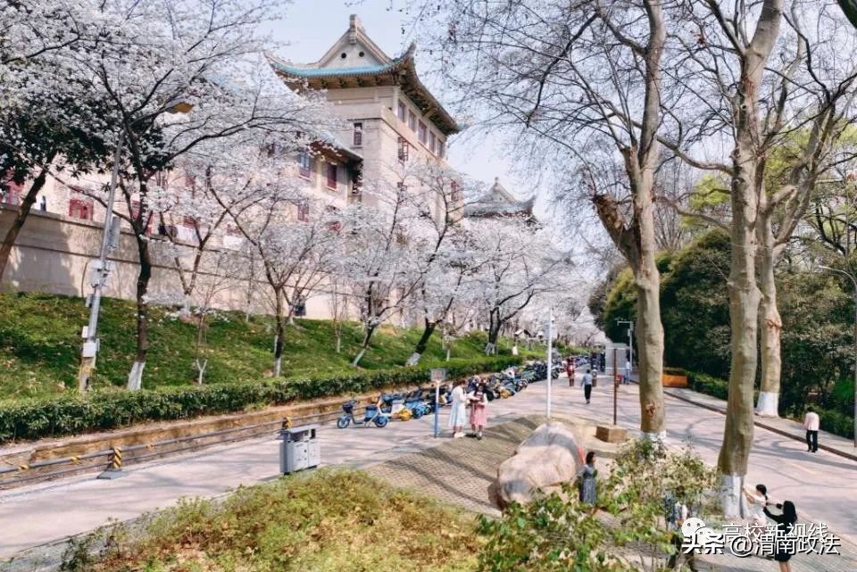 浙大排名2019各大学排名,最新发布校友会2024中国大学排名