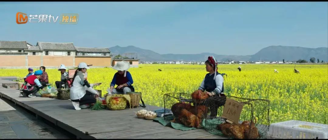 一起去有风的地方夏天,一起去有风有海的地方