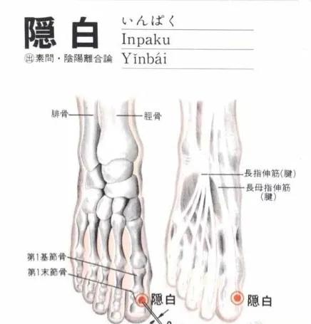 隐白穴止血特效穴,隐白穴位置与主治功效