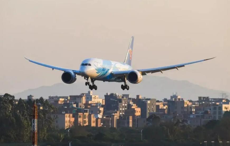 张红医生吸尿救人,张红医生飞机上救人评论