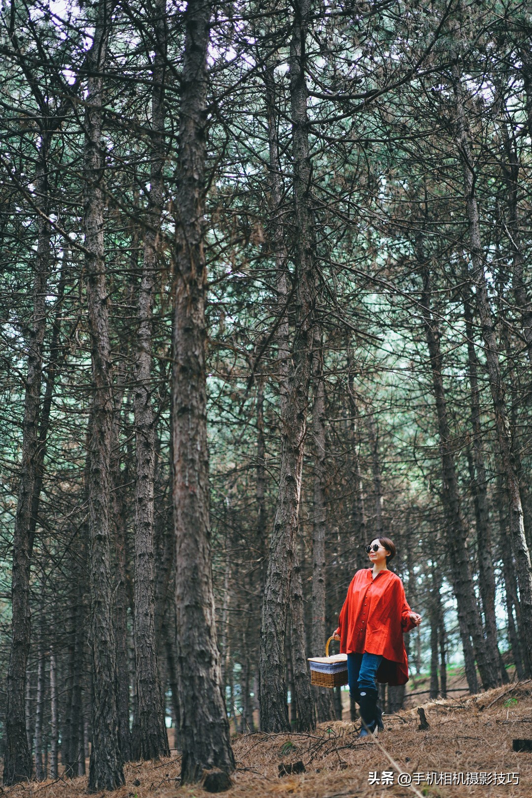 拍照用什么拍摄技巧比较好,拍照时怎么用光影和色彩