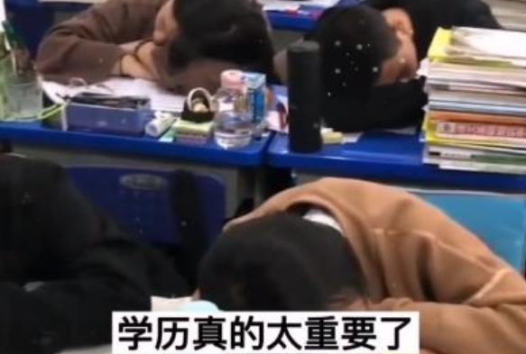 张雪峰说世界500强都说学历不重要,张雪峰说谁成不了五百强