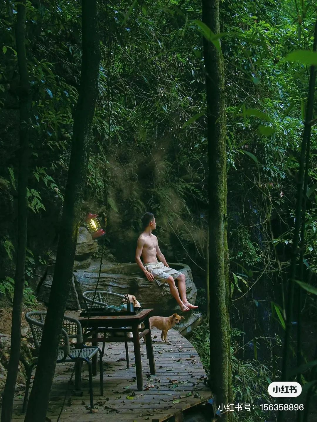 躲进山里民宿,躲在深山老林的民宿