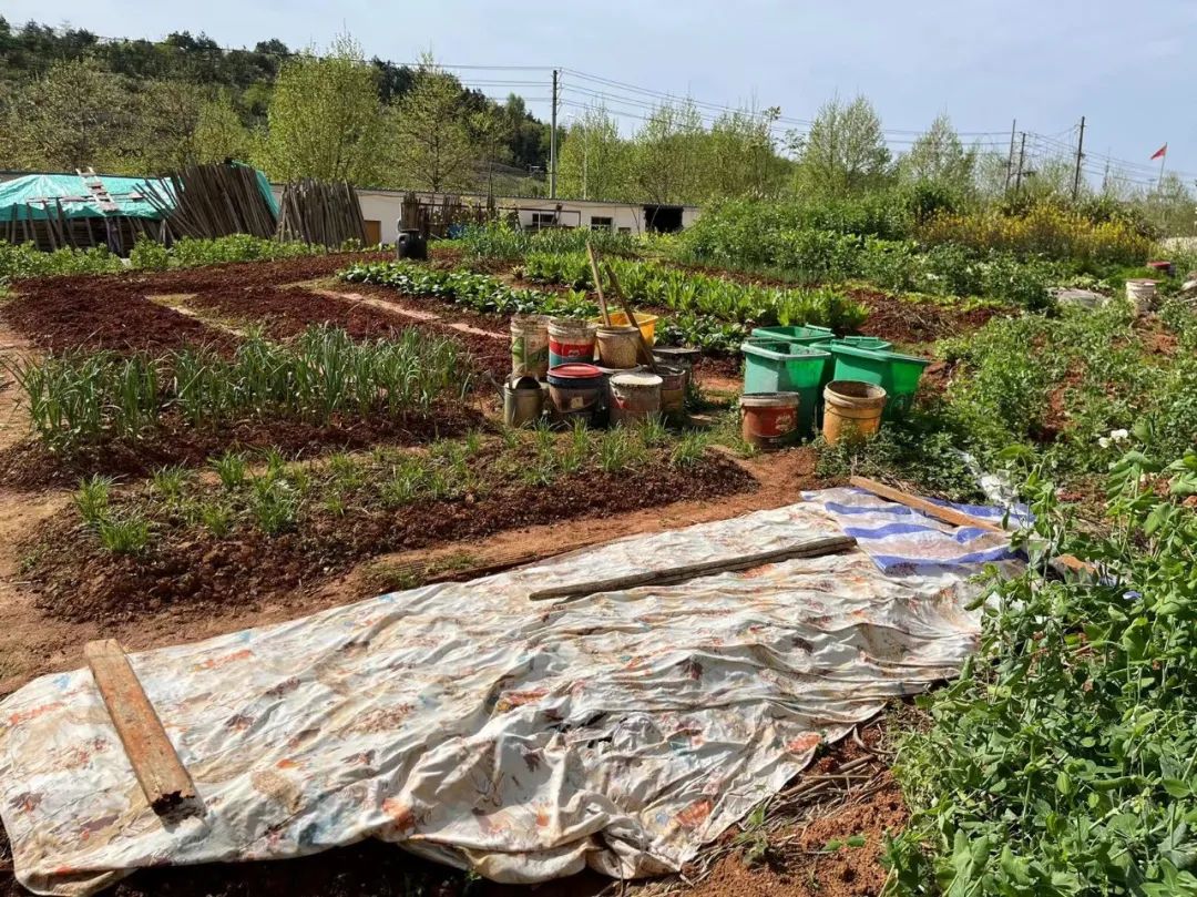 文明城市创建负面清单40条,文明城市创建整改台账