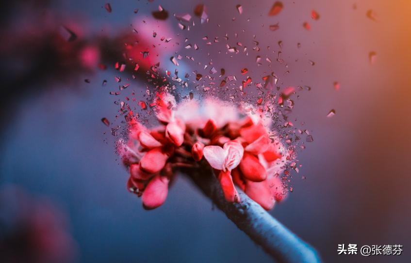 二婚能不能幸福,主要看这3点