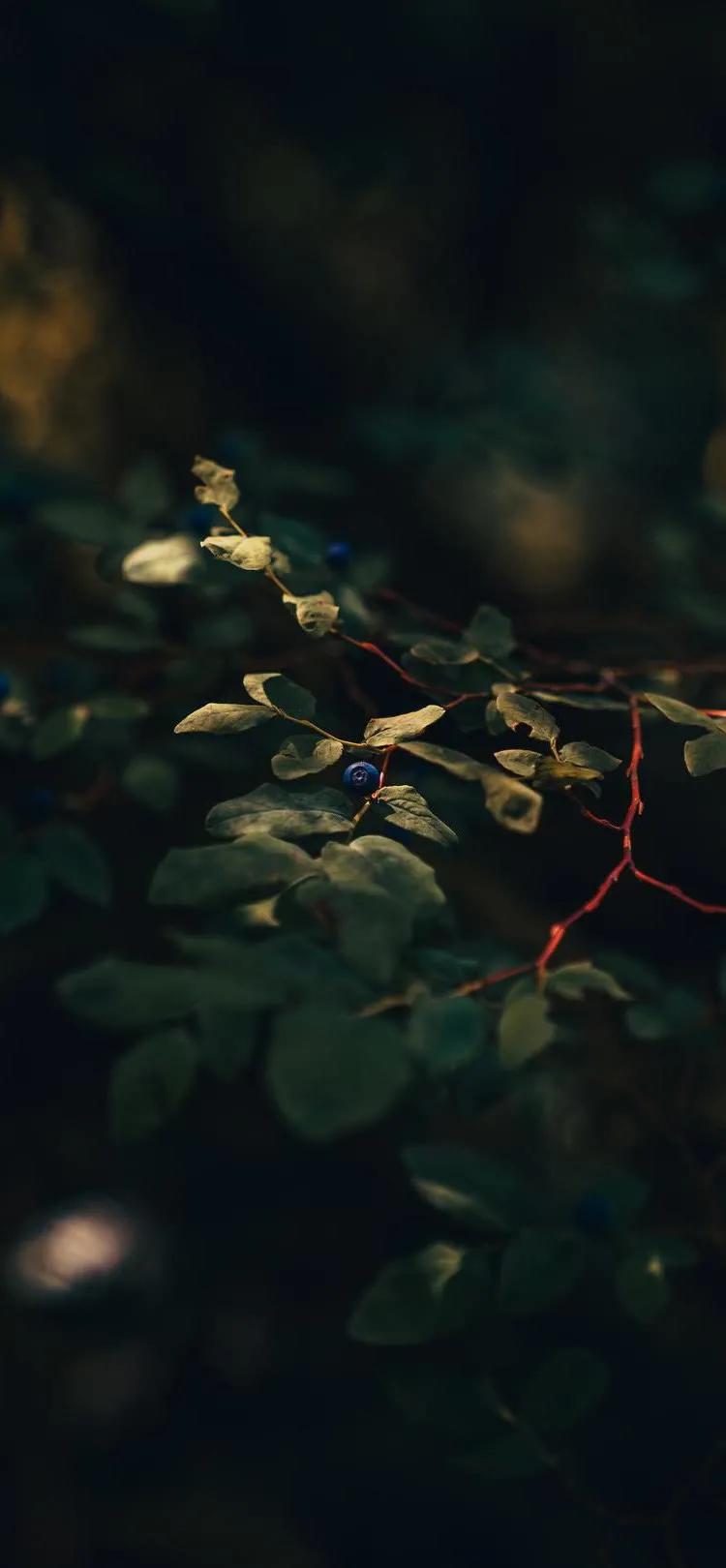湛蓝的海水海滩风景高清壁纸,高清壁纸8k全屏无水印风景