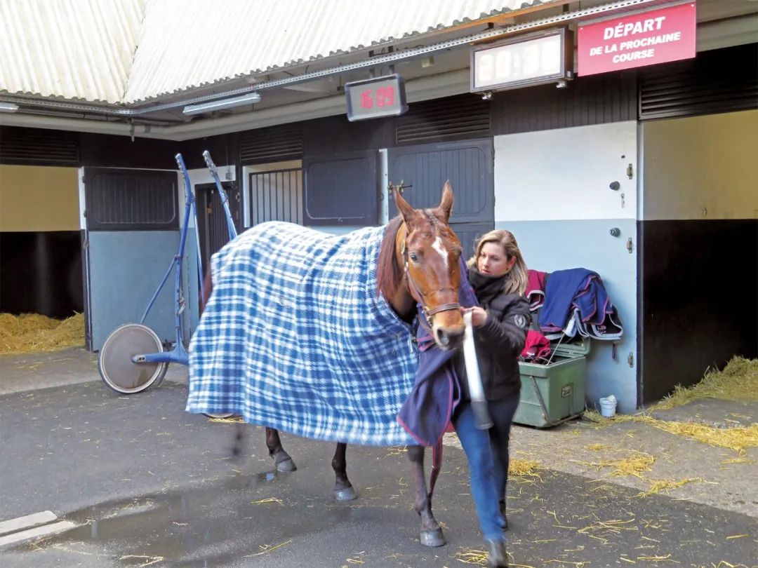 马迷与股民在虚构的世界里莫名亢奋