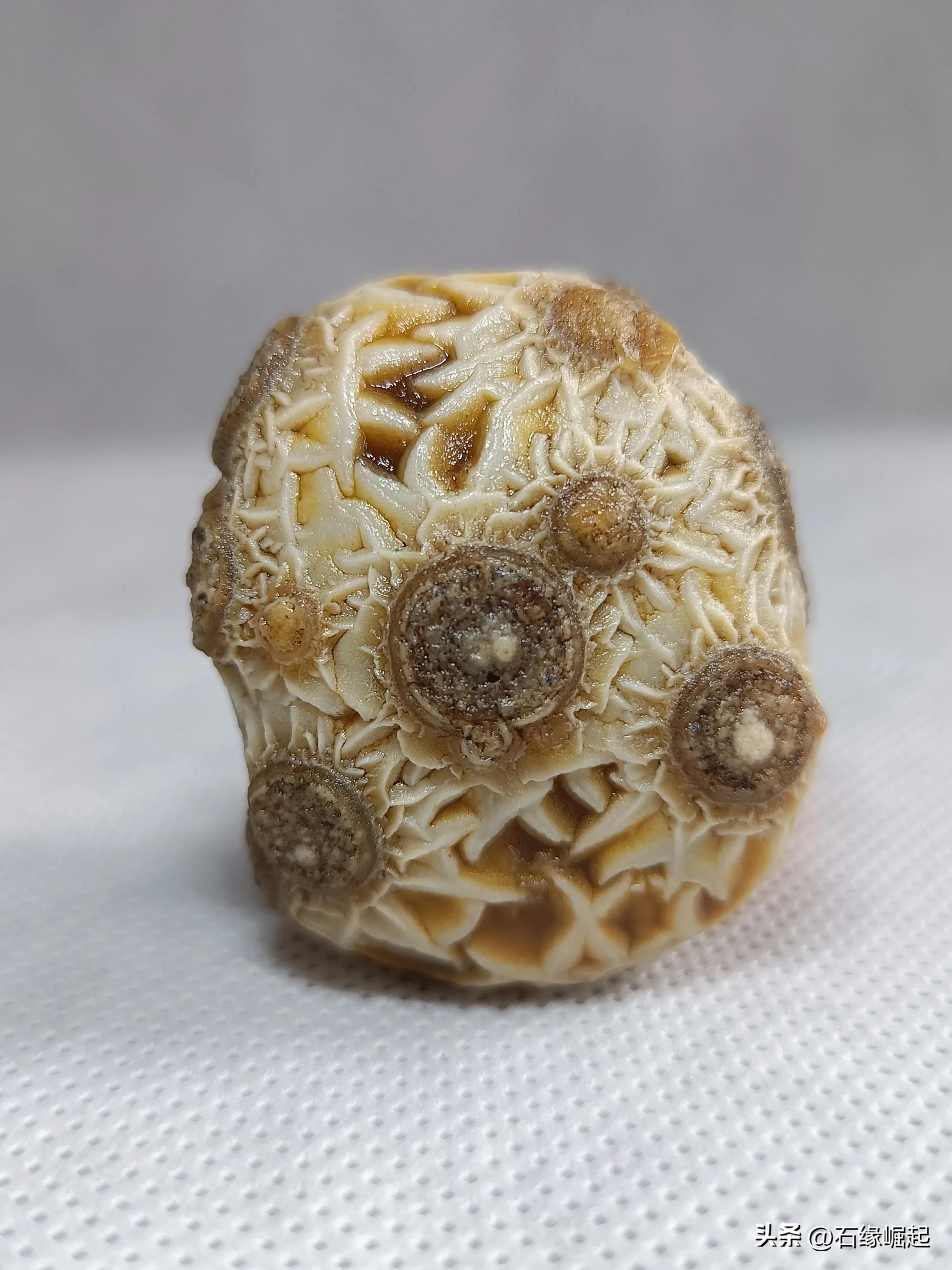 奇石价格一般是多少,奇石拍卖骗局