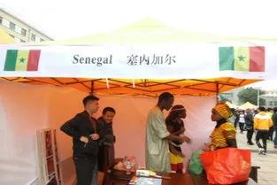 世界上最穷的国家足球队,塞内加尔富不富裕