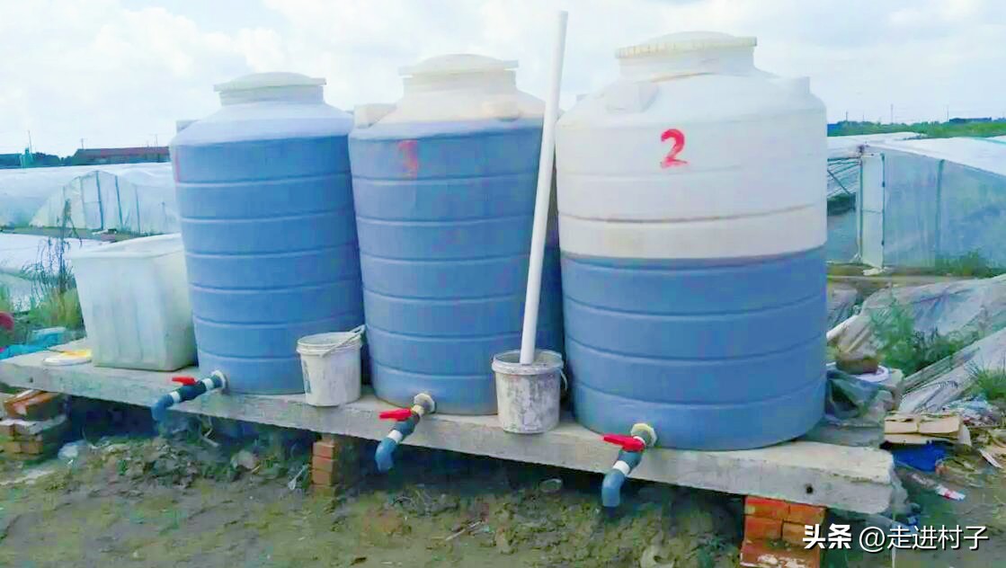 烂果可以做什么酵素,烂水果回收做果酒